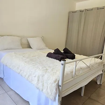 Cosy Dans Un Ecrin De Verdure -nice Daire *